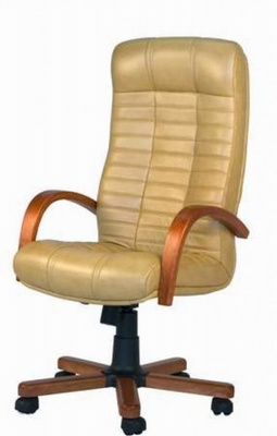 Кресло руководителя ATLANT BX Tilt RM64 ECO